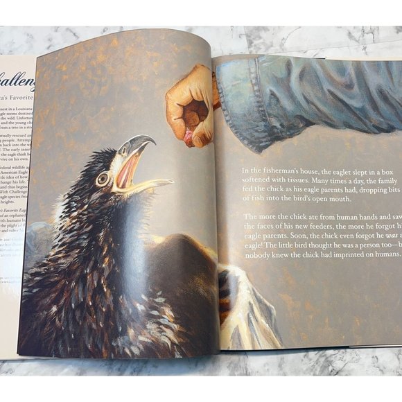 Challenger Americas Favorite Eagle Margot Raven 2005 Bald Eagle Reference - Picture 3 of 12